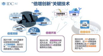 IDC數(shù)字經(jīng)濟(jì)時(shí)代 智慧未來已來，人工智能基礎(chǔ)軟件開發(fā)引領(lǐng)變革